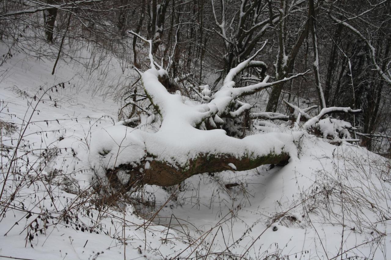Ferienpark Winterberg Exteriör bild